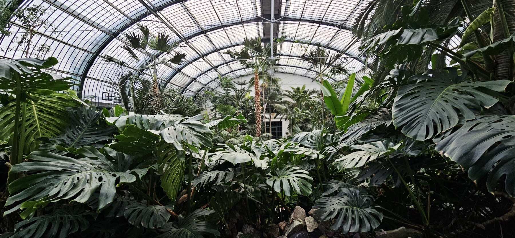 Palmengarten